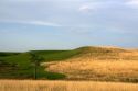 Konza Prairie Biological Station is a preserve of native tallgrass prairie in the Flint Hills of northeastern Kansas, USA.