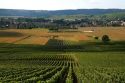 Grapevine plantation and the commune of Charly-sur-Marne in the Champagne province of northeast France.