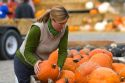 Woman shopping for pumpkins at a farmers market in Fruitland, Idaho. MR