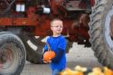 Young boy selecting a pumpking at a farmers market in Fruitland, Idaho.