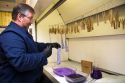 Fingerprint analyst lifting fingerprints form duct tape and using gentian violet to develop the prints in a crime laboratory.