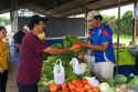 Outdoor produce market at Venecia, Costa Rica.