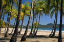 Palm trees and the Pacific Ocean at Playa Carrillo near Samara, Costa Rica.