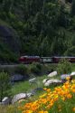 The Thunder Mountain Line scenic tourist train traveling along the Payette River between Horseshoe Bend and Banks, Idaho, USA.