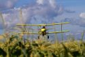 Crop duster spraying pesticide on a corn crop near Jerome, Idaho, USA.
