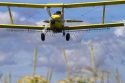 Crop duster spraying pesticide on a corn crop near Jerome, Idaho, USA.