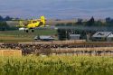 Crop duster spraying pesticide on a corn crop near Jerome, Idaho, USA.
