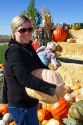 Woman choosing a pumpkin at a pumpkin patch in Fruitland, Idaho, USA. MR