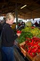 Woman shopping for a variety of peppers at an outdoor farmers' market in Fruitland, Idaho, USA. MR