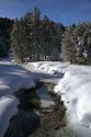 Round Valley Creek during winter in Valley County, Idaho, USA.