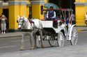 Horse drawn carriage at the Plaza Mayor or Plaza de Armas of Lima, Peru.