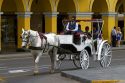 Horse drawn carriage at the Plaza Mayor or Plaza de Armas of Lima, Peru.