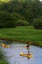 Kayaking the Hanalei River on the island of Kauai, Hawaii, USA.