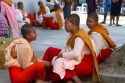 Young buddhist nuns socialize in (Rangoon) Yangon, (Burma) Myanmar.