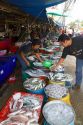 Vendor selling fresh fish at an open air market on the island of Ko Samui, Thailand.