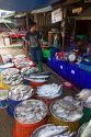 Vendor selling fresh fish at an open air market on the island of Ko Samui, Thailand.