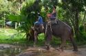 Tourists ride atop asian elephants on the island of Ko Samui, Thailand.