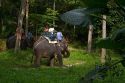 Tourists ride atop asian elephants on the island of Ko Samui, Thailand.