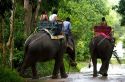 Tourists ride atop asian elephants on the island of Ko Samui, Thailand.