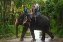 Tourists ride atop asian elephants on the island of Ko Samui, Thailand.
