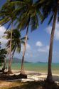 Beach with palm trees and the Gulf of Thailand on the island of Ko Samui, Thailand.