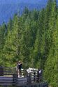 Scenic overlook in Mount Rainier National Park, Washington, USA