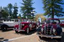 Vintage cars on display during the Tremains Art Deco Weekend  at Napier in the Hawke's Bay Region, North Island, New Zealand.