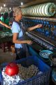 Commercial silk factory in Lam Dong Province, Vietnam.