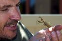 Man holding a praying mantis in Boise, Idaho,  USA.