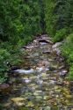 Fresh water stream in the northern Cascade Mountains, Washington, USA.