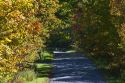 Fall foliage on a rural backroad near Lake Elmore in Lamoille County, Vermont, USA.