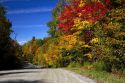 Fall foliage on a rural backroad north of Stowe, Vermont, USA.