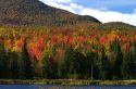 Fall foliage at McAllister Pond in Orleans County, Vermont, USA.