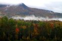 Fall foliage on a misty moring near Stowe, Vermont, USA.