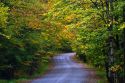 Fall foliage on a rural backroad near Stowe, Vermont, USA.