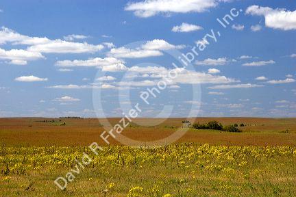 Kansas prairie along highway 77 south of Cottonwood, Kansas.