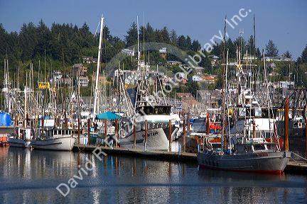Fishing boats at the harbor in Newport, Oregon.