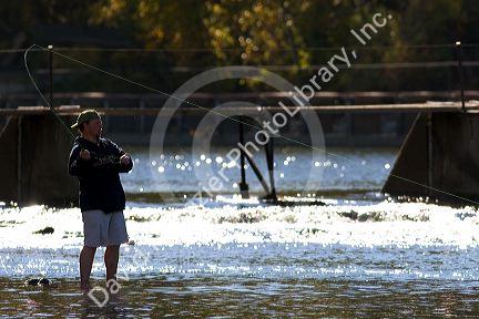 A man fly fishing on the Payette River in Idaho.