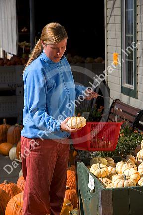 A woman shops for pumpkins at a farmers market in Canyon County, Idaho. MR