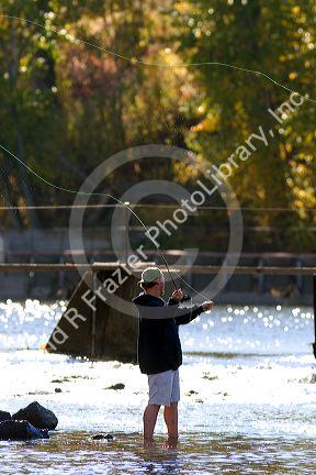 A man fly fishing on the Payette River in Idaho.