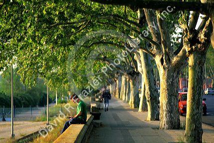 The Riverwalk in Seville, Spain.