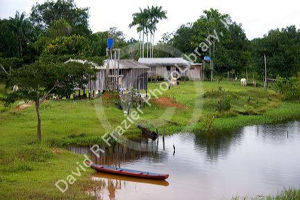 Housing settlement in the Amazon jungle near Manaus, Brazil.