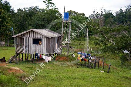 House on stilts in the Amazon jungle near Manaus, Brazil.