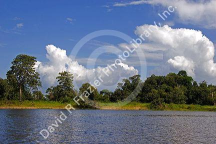 Storm clouds gather over the Arasa River in the Amazon jungle near Manaus, Brazil.