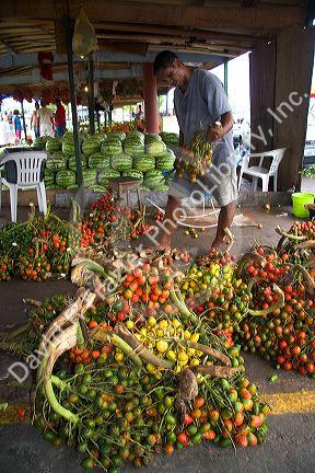 Palm nuts being prepared for sale at a market in Manaus, Brazil.