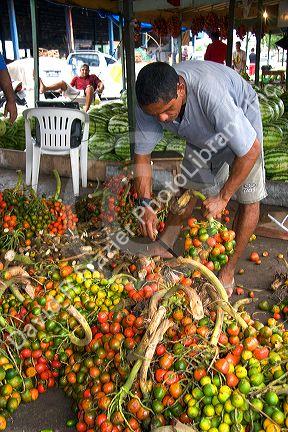 Palm nuts being prepared for sale at a market in Manaus, Brazil.