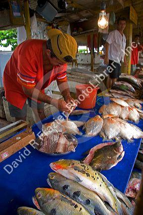 Vendor selling fish at a market in Manaus, Brazil.