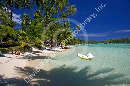 Beach scene with lagoon and palm trees on the island of Moorea at Hotel Tipaniers.