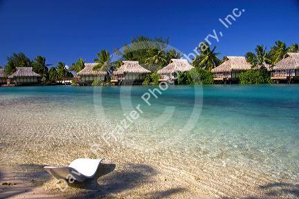 Grass hut bungalows at the Intercontinental Hotel on the island of Moorea.