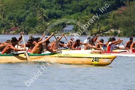 Tahitians take part in an outrigger canoe pirogue race off the island of Moorea.